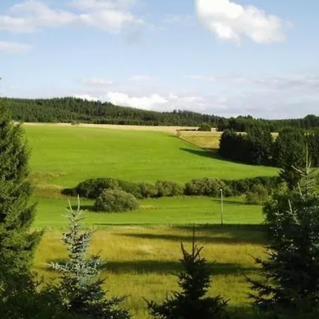 Eifelcottage Rehwiese Ulmen